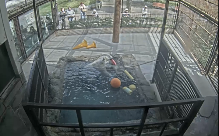 スクリーンショット 2026-04-21 151319.png