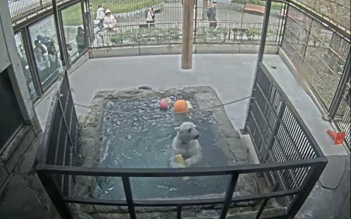 スクリーンショット 2026-04-28 150902.png