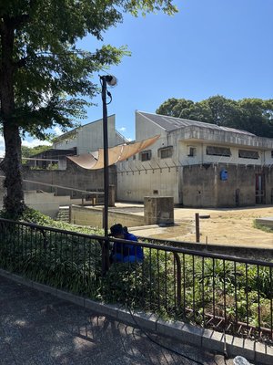 #29.夜の動物園に向けて