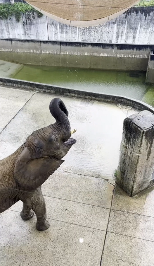 #雨の日の水遊び