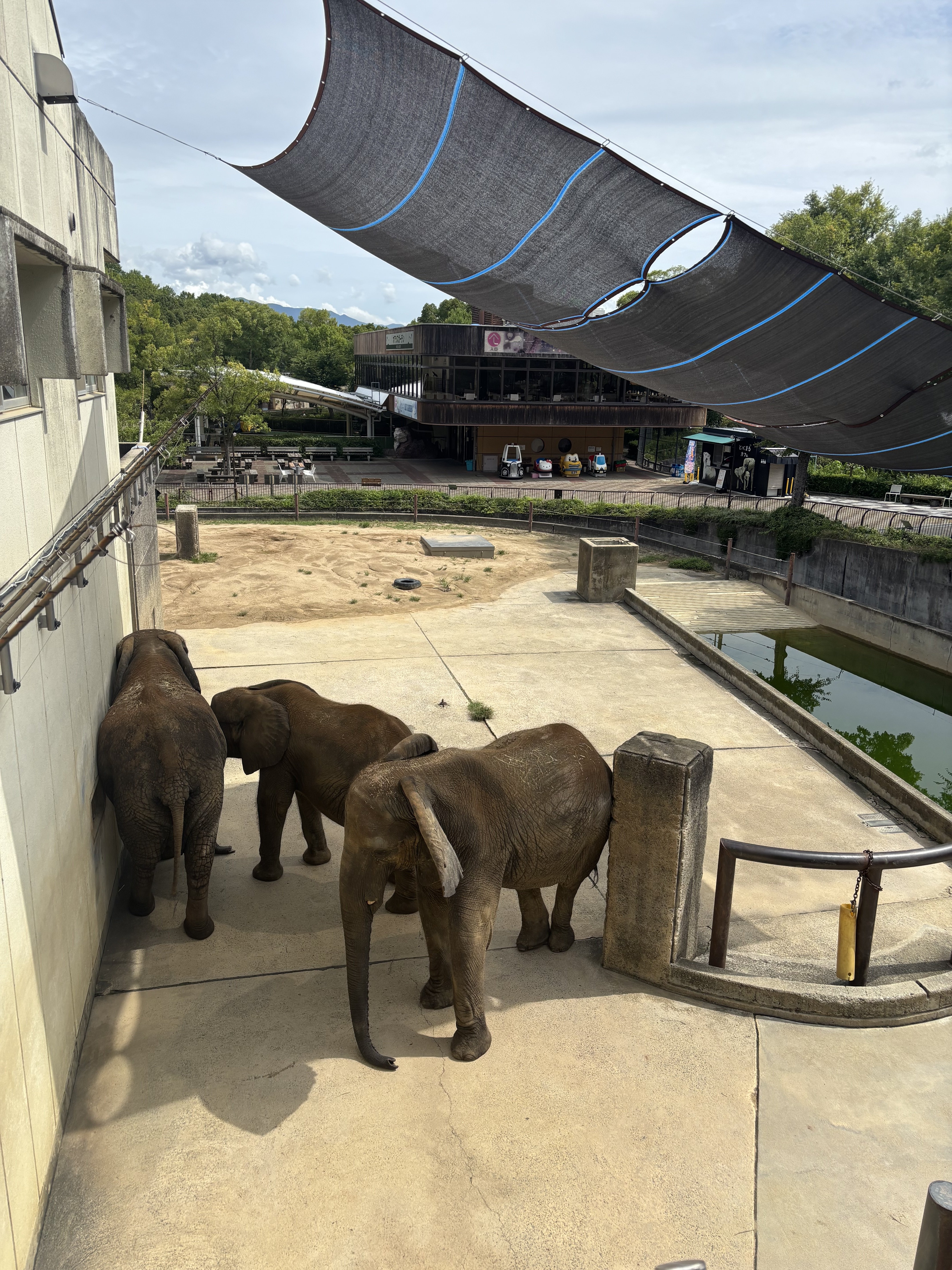 #38.新しい日除けネットの使い心地は如何に⁉