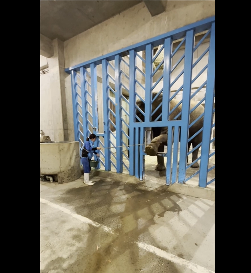 スクリーンショット 2025-11-24 140136.png