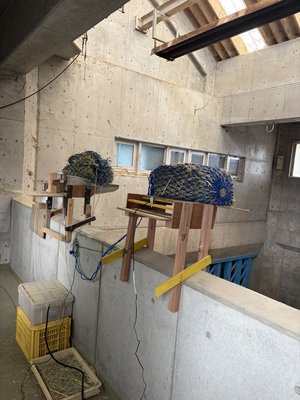 3，新旧2台の給餌機 (2).JPG