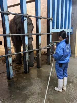 砥愛お湯飲まし - コピー.JPG