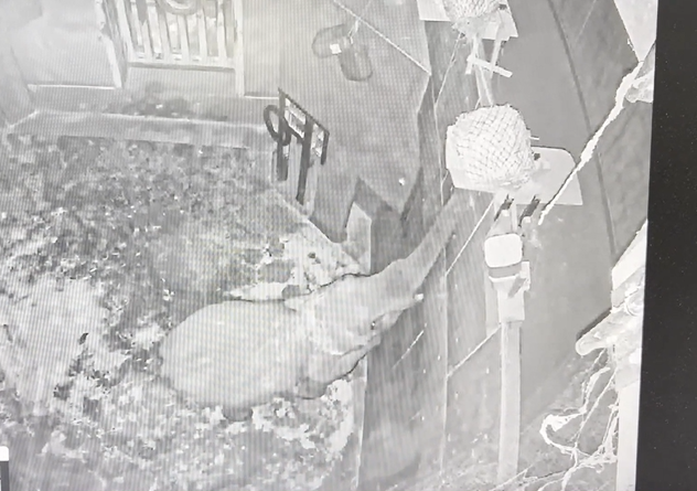 スクリーンショット 2026-04-15 102922.png