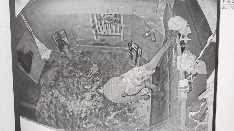 スクリーンショット 2026-04-22 093311.png