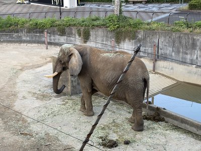 2.頭にも.JPG