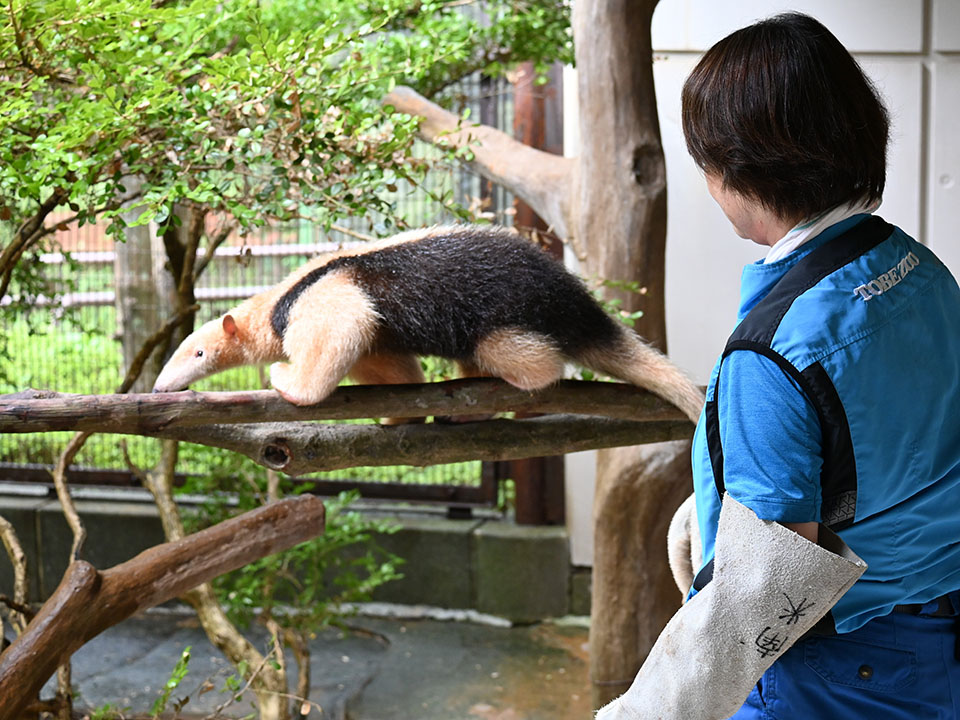 キーパー飼育日記
