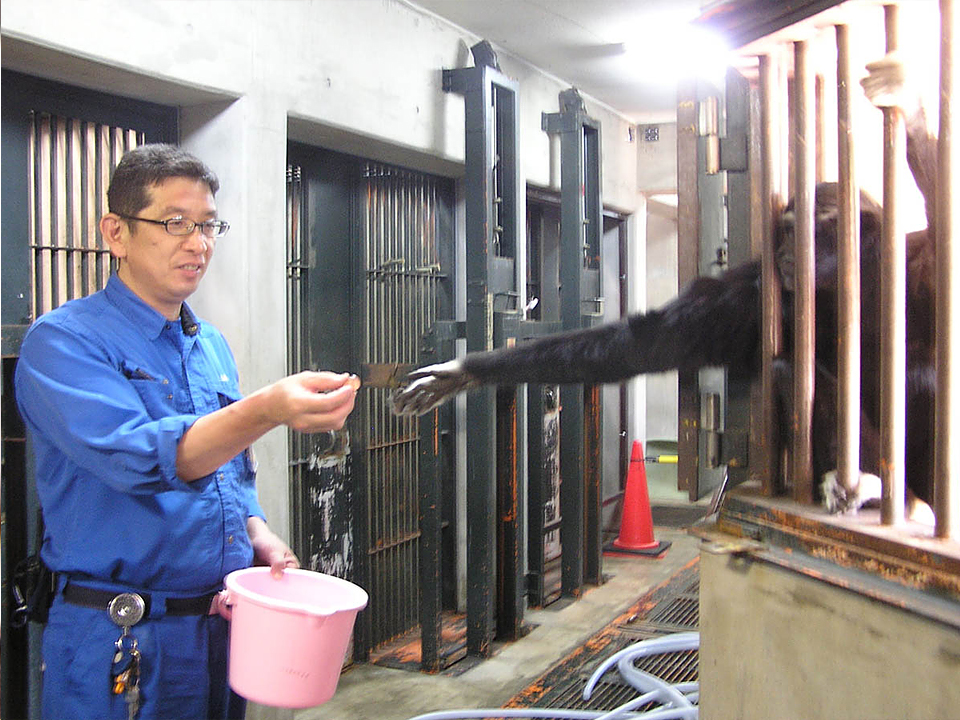 キーパー飼育日記