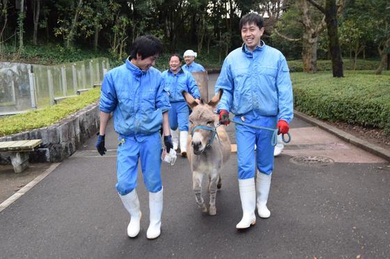 ロバのショウ君