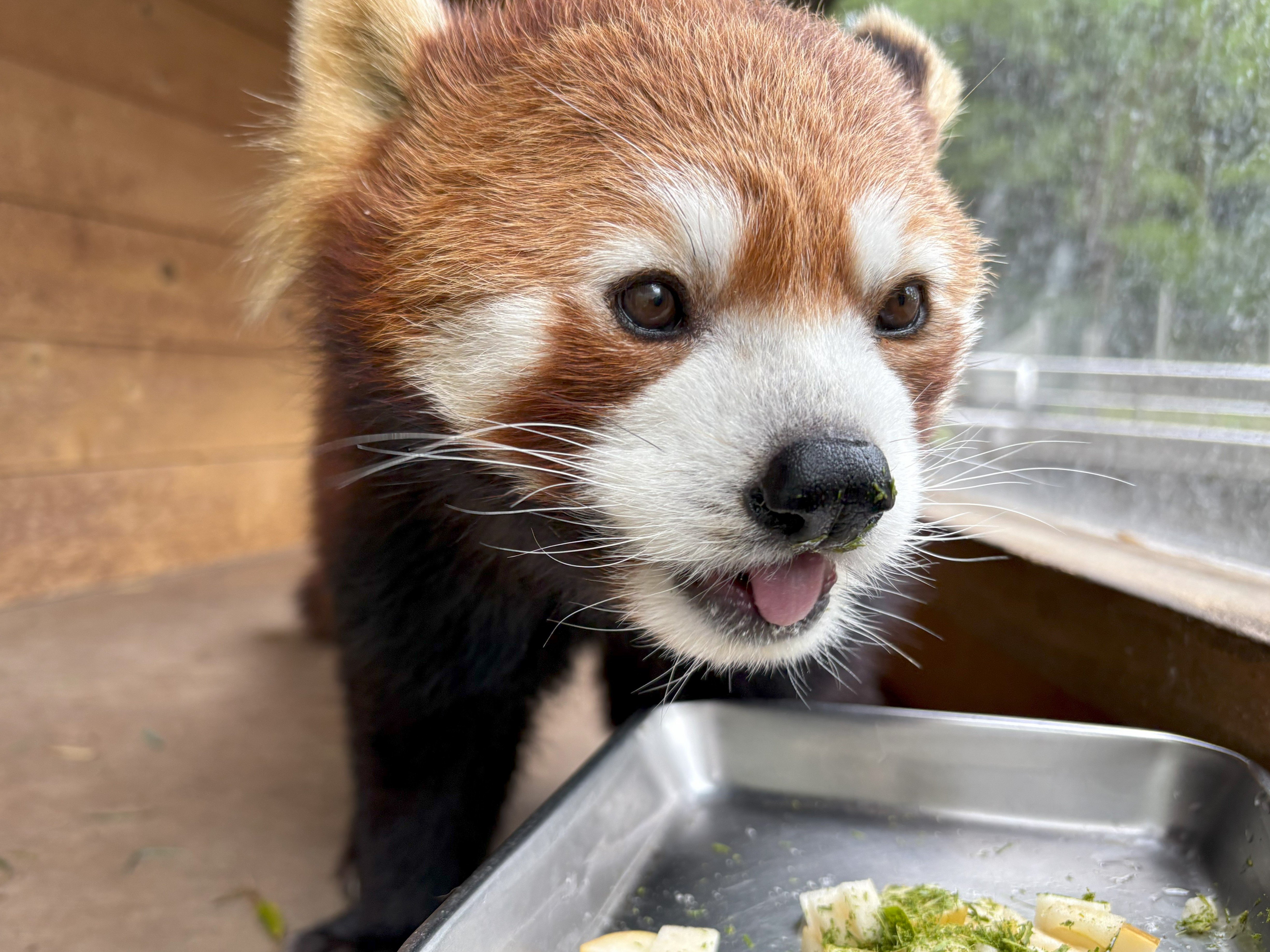 ⑤たくさん食べて夏を乗り切ろう！.jpg