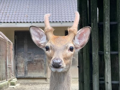 IMG_1592 - コピー.JPG