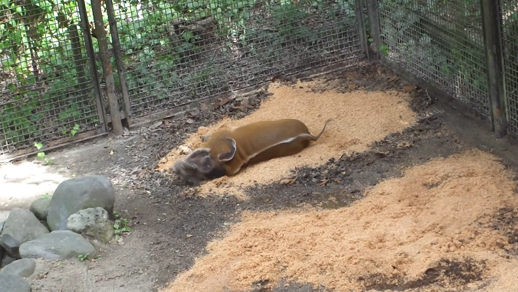 スクリーンショット 2025-10-27 170442.png