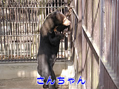 20110508-02.jpg