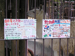 20140104161451.jpg