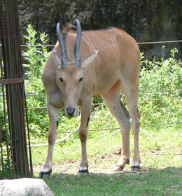 20150617142926.JPG