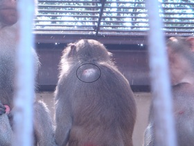 20150816112554.JPG
