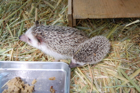 20160824130539.JPG