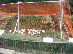 CIMG2800.JPG