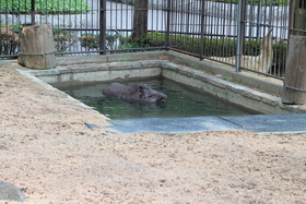 IMG6.JPG