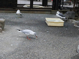 hogo04.jpg