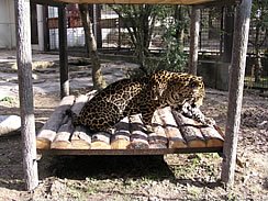 juger02.jpg
