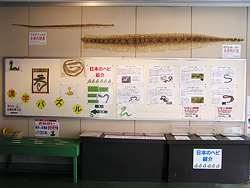 snake_01.jpg