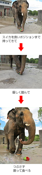 zou_2.jpg