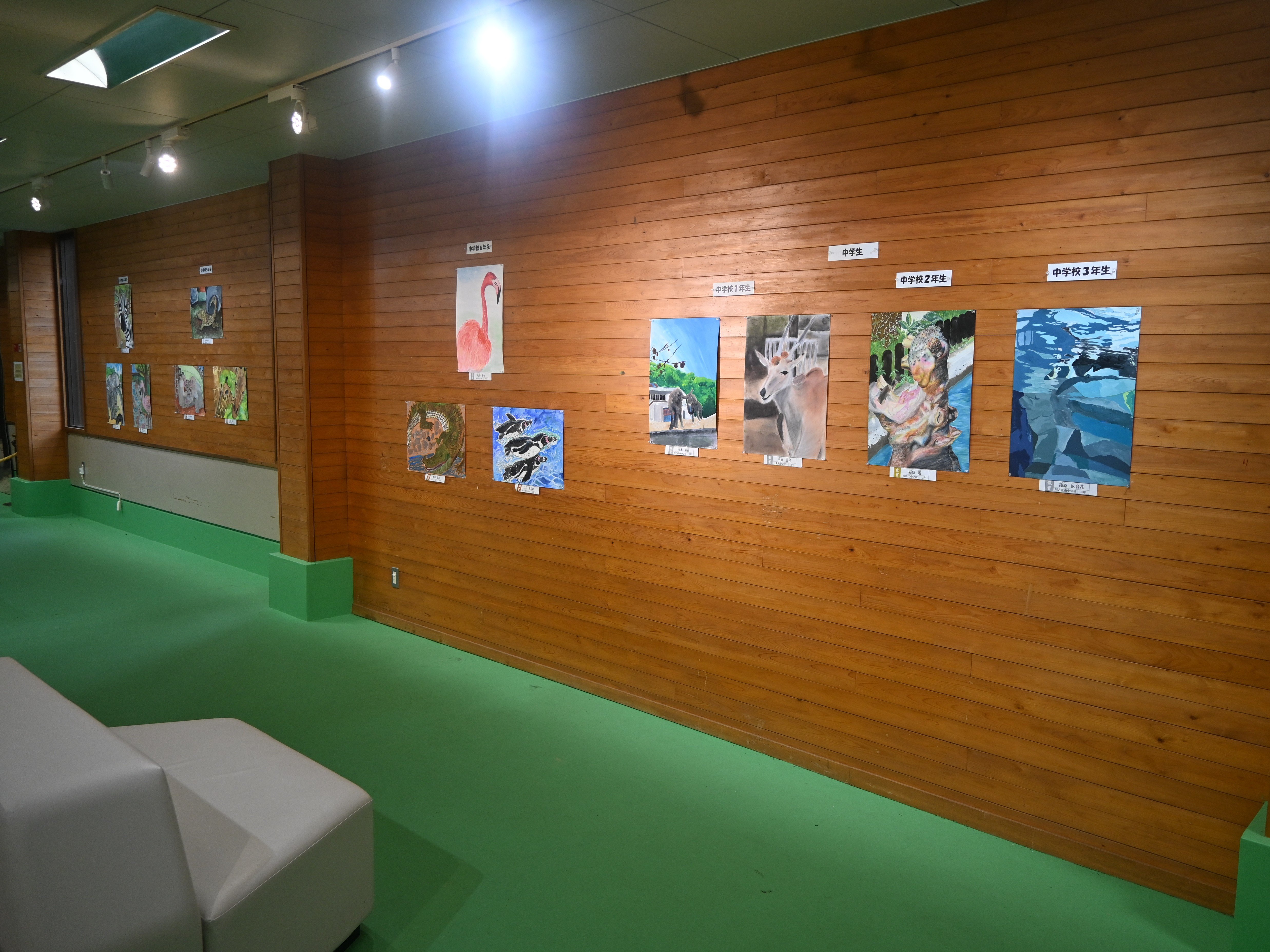 動物画展示④.JPG