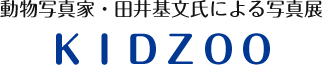 動物写真家・田井基文氏による写真展「KIDZOO」