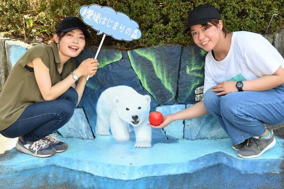 3dアート動物園が出来ました お知らせ 愛媛県立とべ動物園