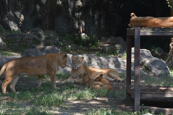 DSC_7647.JPG