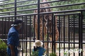 20230717160258-5dbdc3a4039ac5f9df0dab117107e33dc1b68ac1.jpg