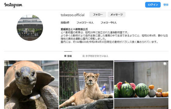 とべ動物園公式Instagramページ
