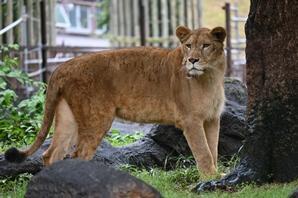 DSC_7056.JPG