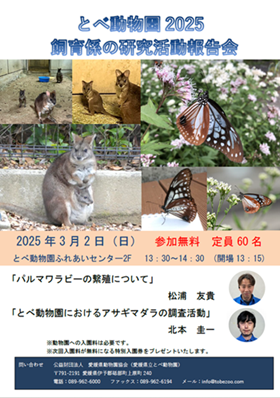 20250203115901-0f06f86ccf385c15f39ad47b51e70d1f99ff389d.png