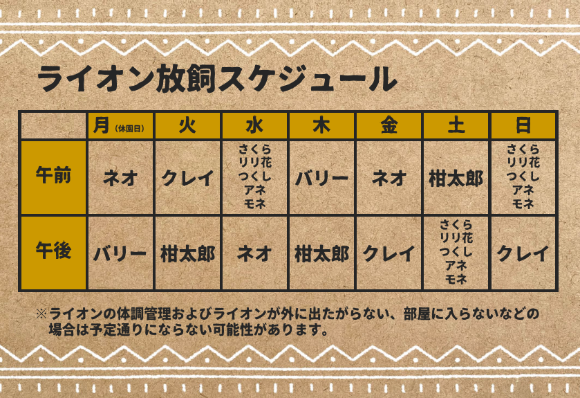 ライオン放飼スケジュール.png