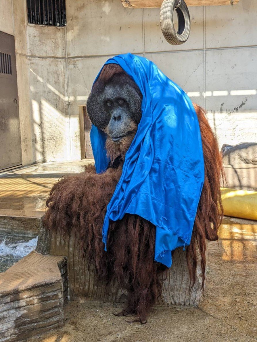 ディディ誕生日.jpg