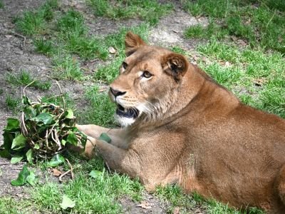 DSC_6675.JPG