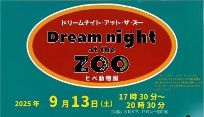 ドリームナイト.jpg