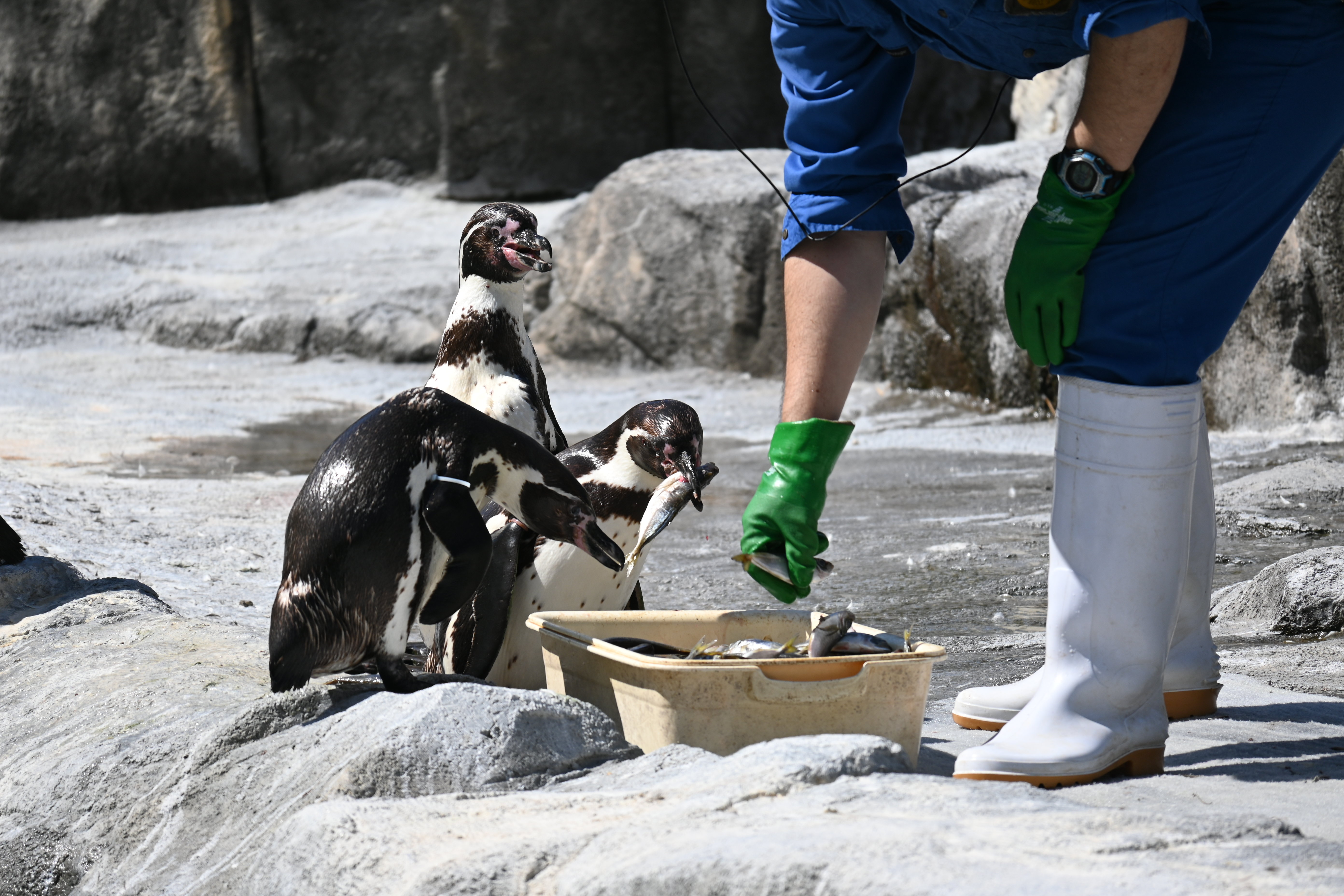 DSC_2760.JPG