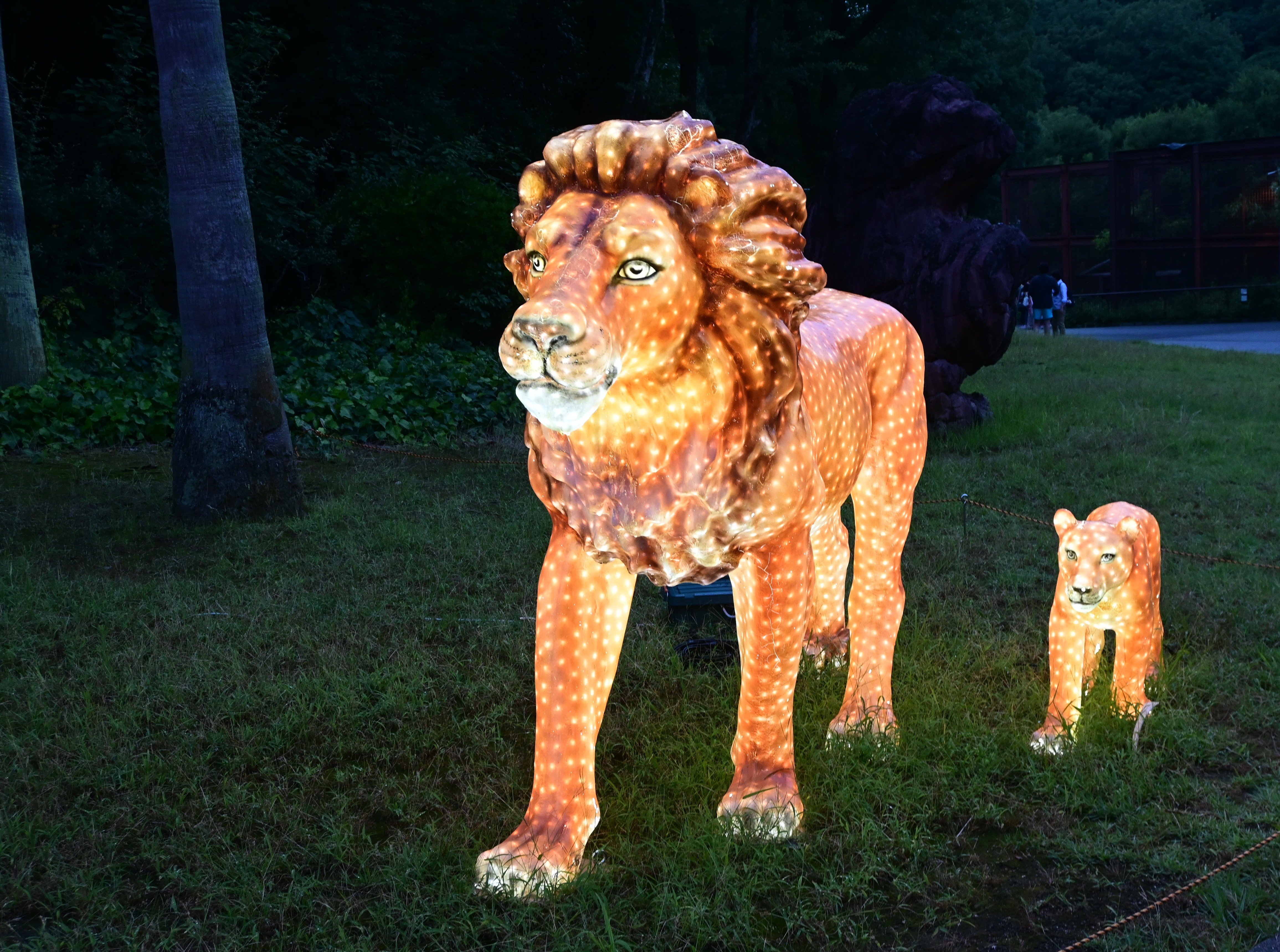 夜zoo2025.JPG