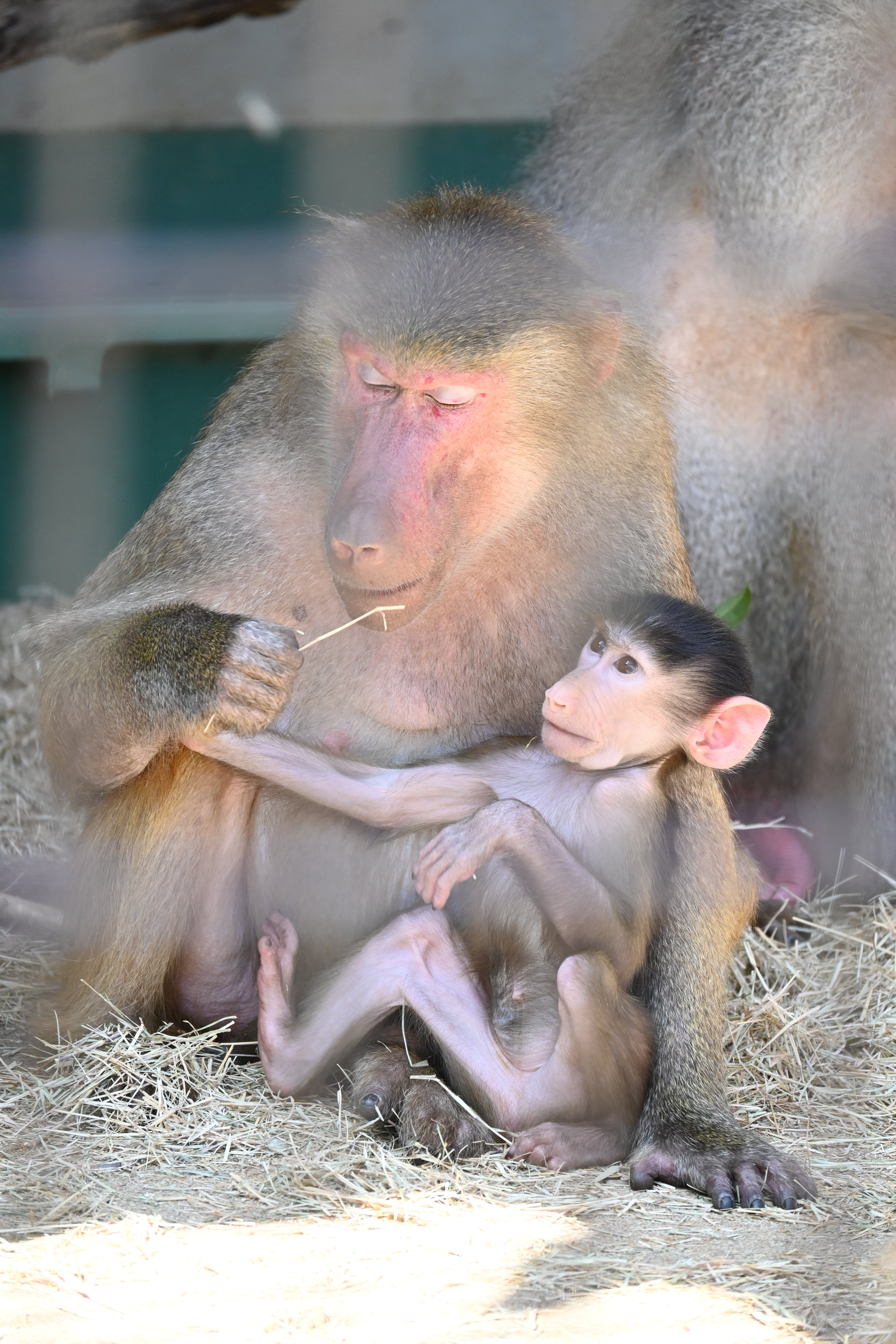 DSC_7077.JPG