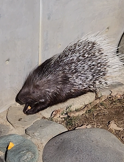 スクリーンショット 2025-12-24 164716.png