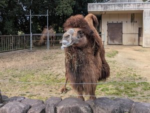 ★PXL_20260224_012429474[1] - コピー.jpg