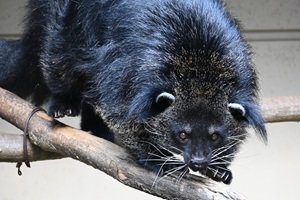 2023.10.28 - コピー.JPG