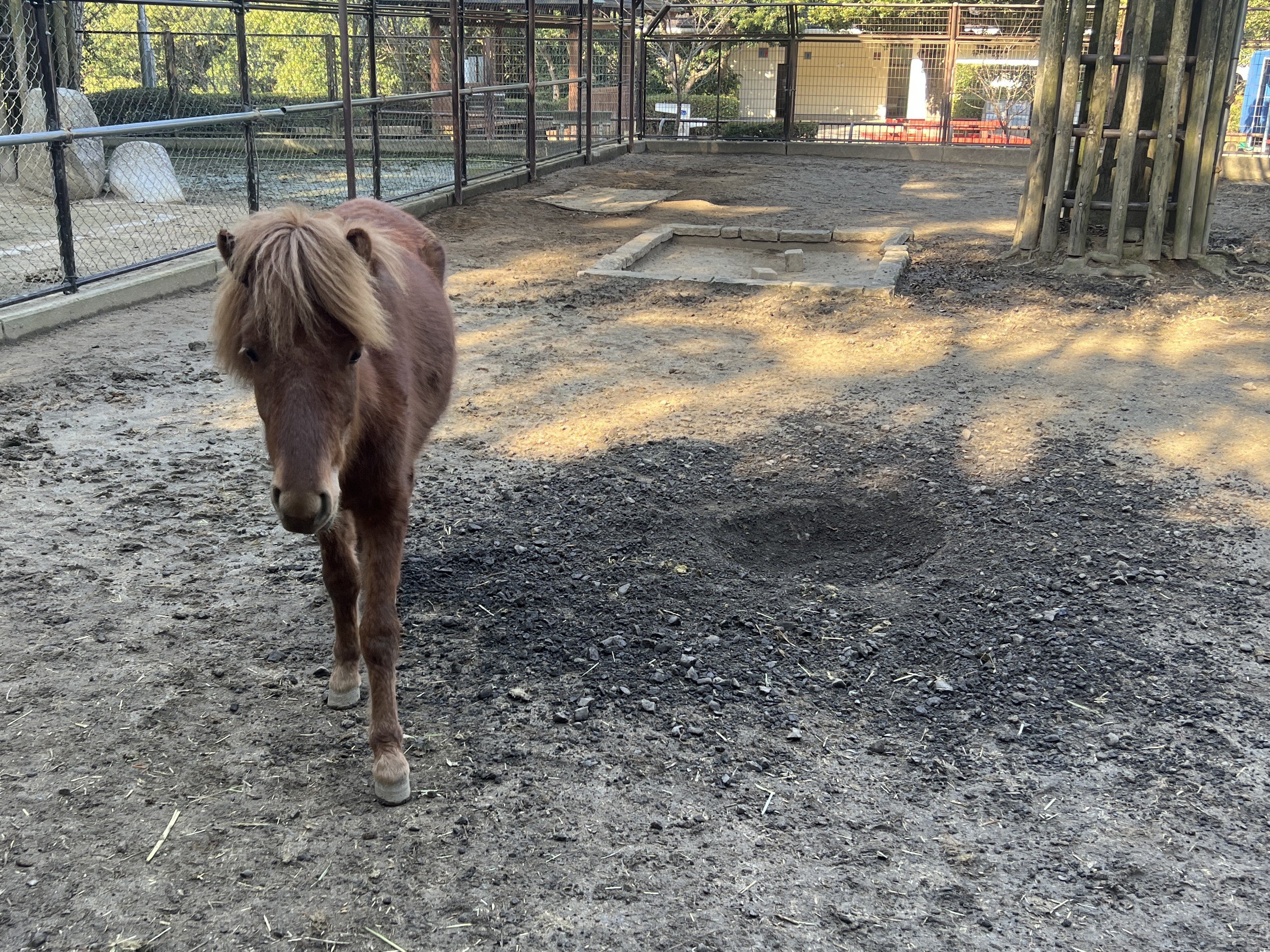 IMG_4970 - コピー.JPG