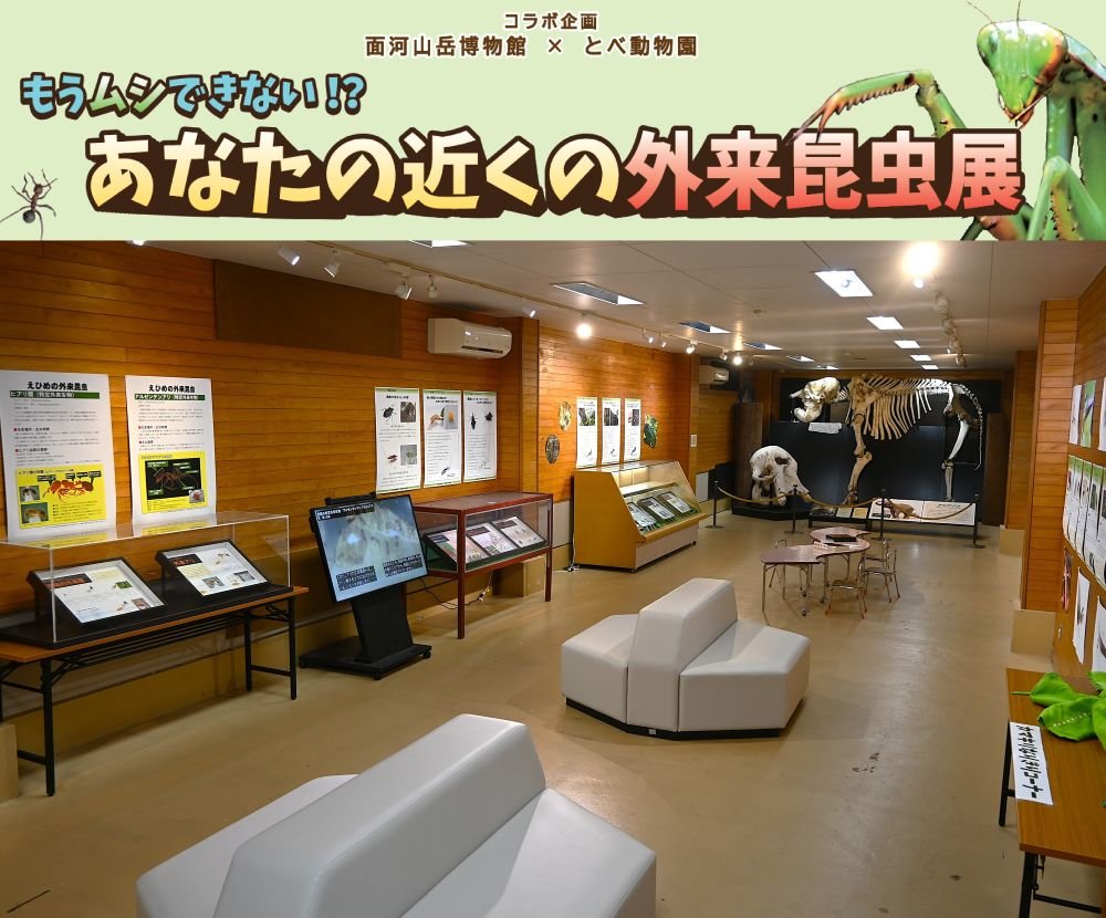 0320_面河山岳博物館 × とべ動物園s.jpg