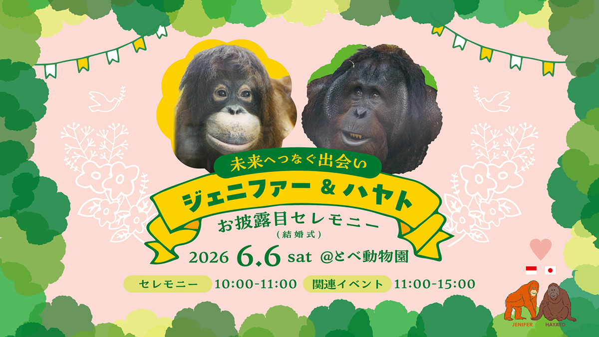 画像1.png