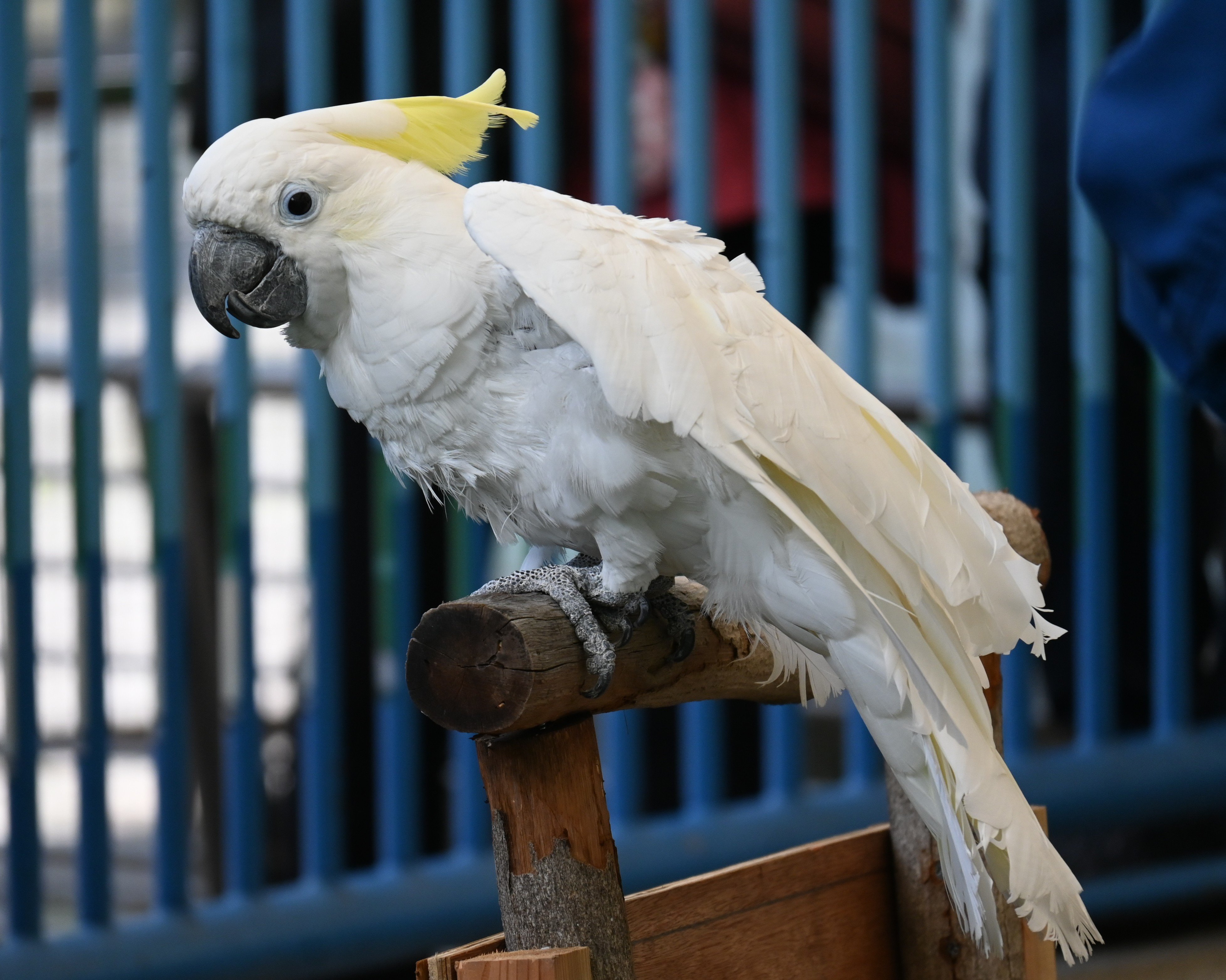 DSC_8808.JPG